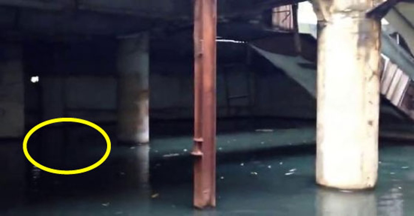 Abandoned Shopping Mall Reveals Something No One Could Ever Imagine