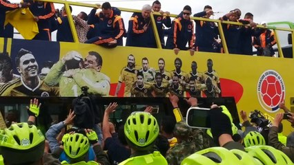 Bienvenida a la selección colombia