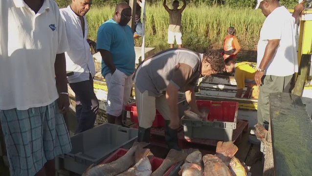 Un œil sur les ressources marines