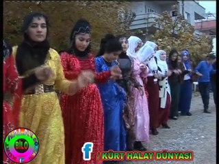 BİTLİS LİLERİN DÜĞÜNÜ  TARSUSTA NARİN MÜZİK