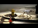 Budweiser - Dalmatian - Superbowl 2007