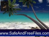 Get Sandy Beach 3D Screensaver and Animated Wallpaper 1.0 Serial Key Free Download