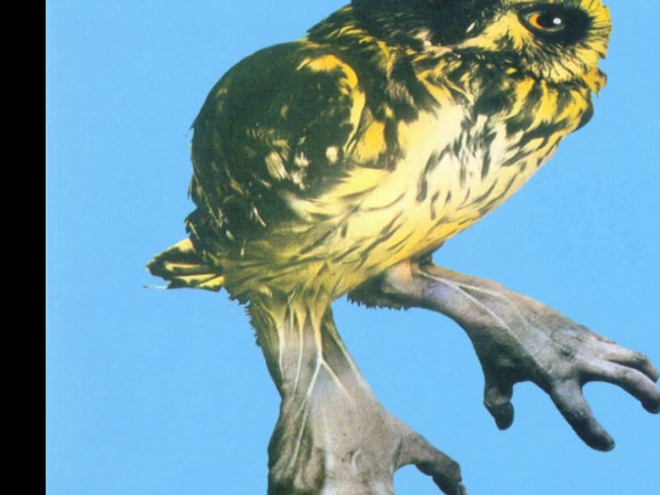 Brainchid"Autobiography"1970 UK Prog Rock Jazz Fusion