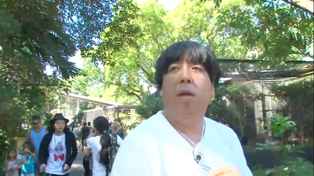 バナナTV ハワイ編Part2_6