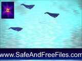 Download Whales Screen Saver 93011 Activation Number Generator Free