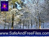 Download Winter Wonderlands 1.0 Activation Number Generator Free
