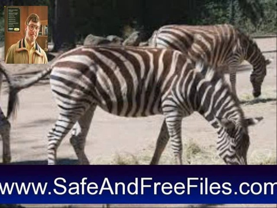 Download zoo__test 4_ 1 Activation Code Generator Free
