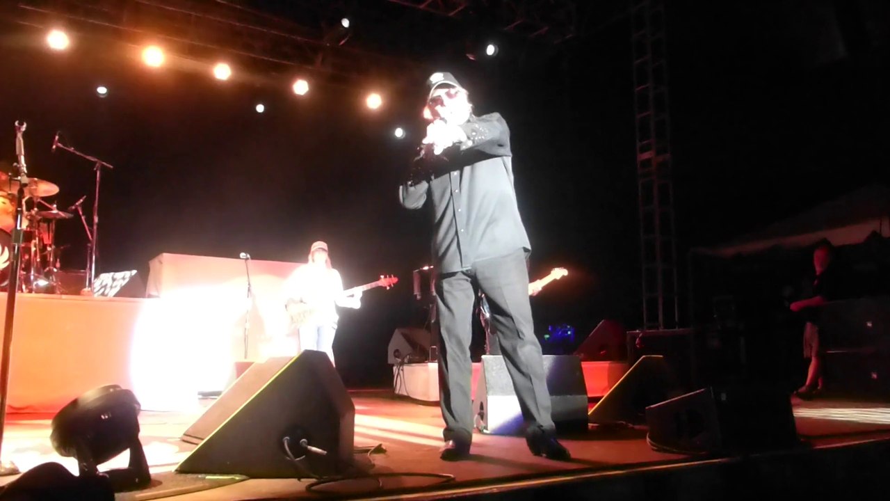 Hank Williams, Jr. - If the South Woulda Won (Live in Houston - 2014) HQ