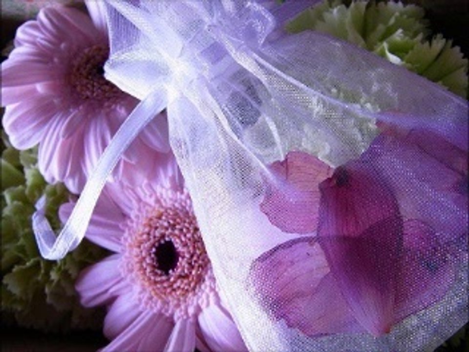 忘れじの面影 SHE & Tous les visages de l'amour ( シャルル・アズナヴール&Charles Aznavour) シャンソン / 訳詞初稿 Sima