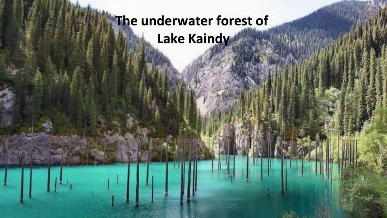 Things You Won't Believe Actually Exist in Nature - Wonders of the World