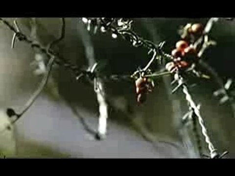 lil scrappy feat. sean paul oh yeah