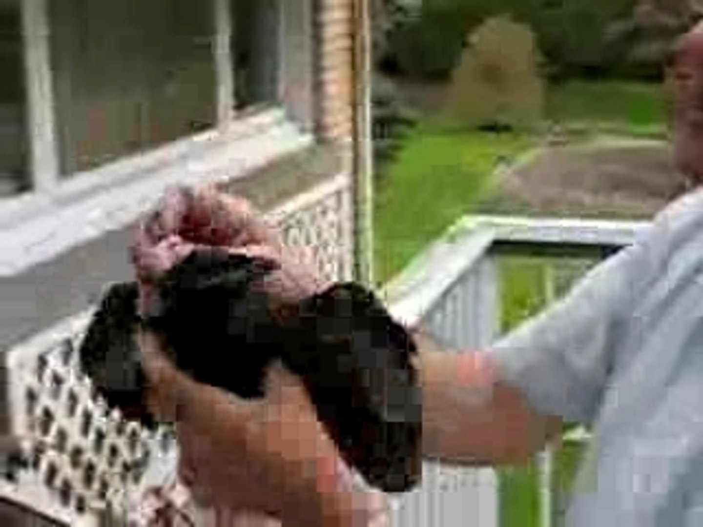 Le Bebe Corneille Video Dailymotion
