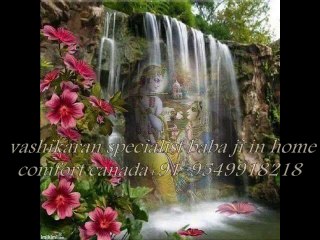 Career Prediction +91-9549918218