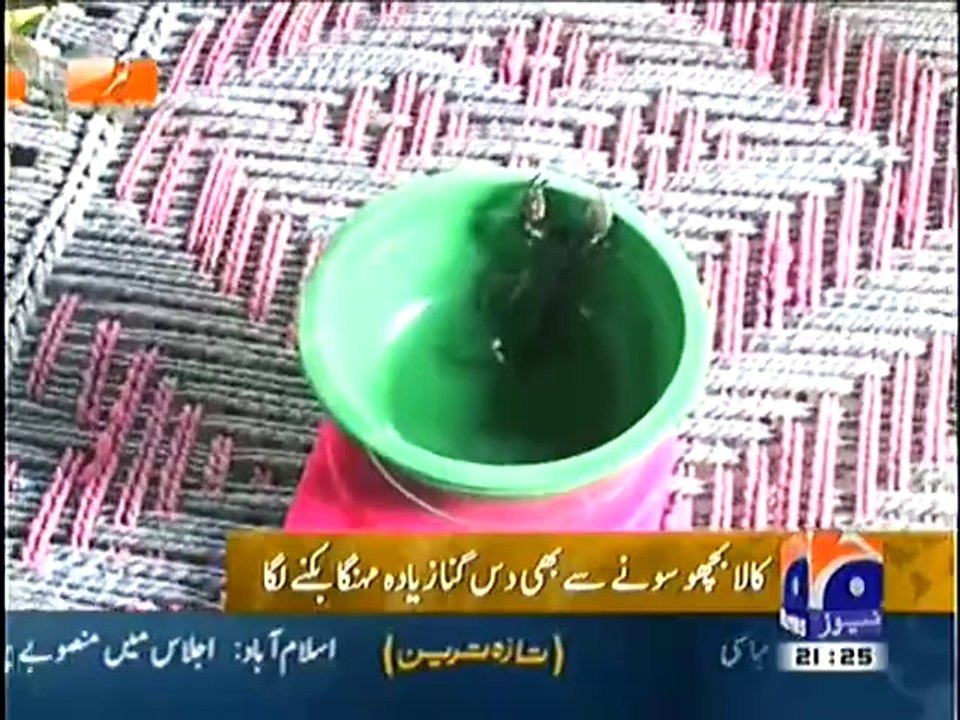 Tharparkar - Black Scorpion more Expensive than Gold in