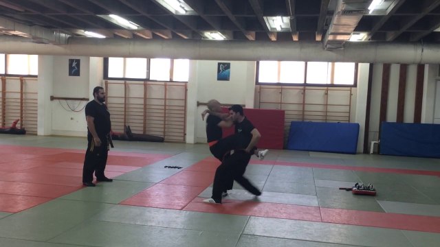 KRAV MAGA DEMONSTRATION AT WINGATE INSTITUTE BY ALAIN COHEN krav-security.com