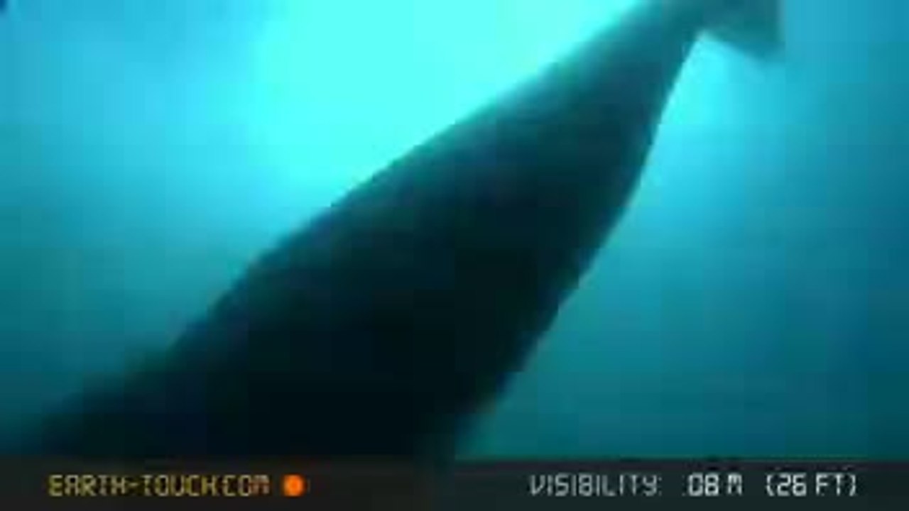 test-vid