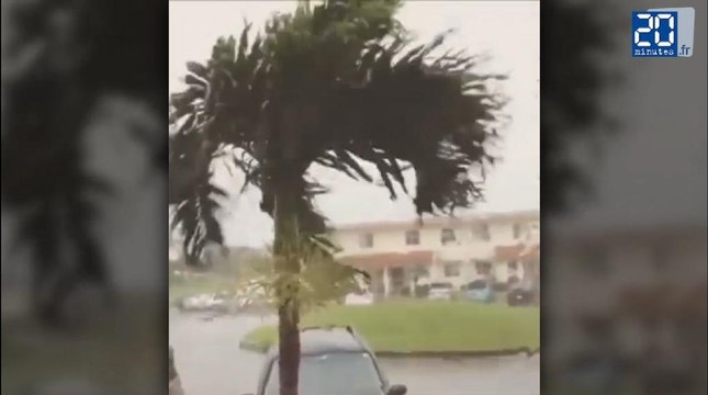 Le typhon Neoguri frappe Okinawa (Zapping)