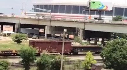 daryl-carol.wtd greek fanatics