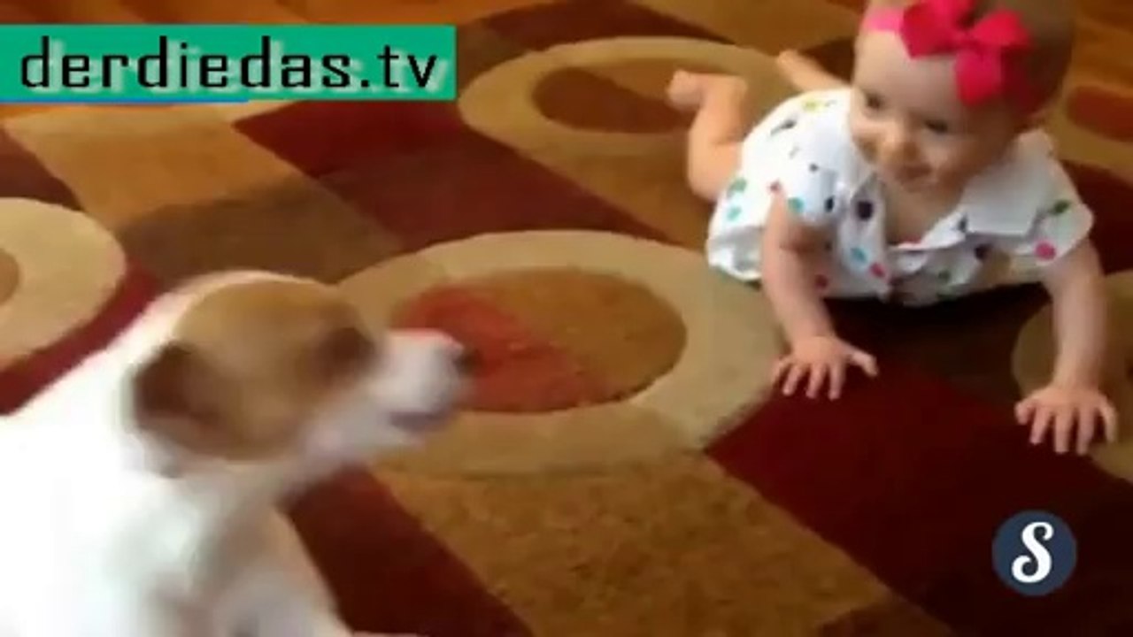 Hund zeigt Baby wie man krabbelt – Einfach nur süß!