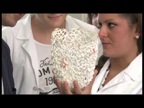 Napoli - Il nuovo polo tecnico professionale a Capodimonte (07.07.14)