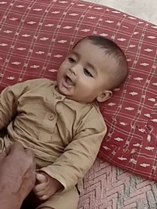 talha zufar