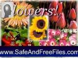 Get 100 Beautiful flowers Vol. 1 Serial Number Free Download