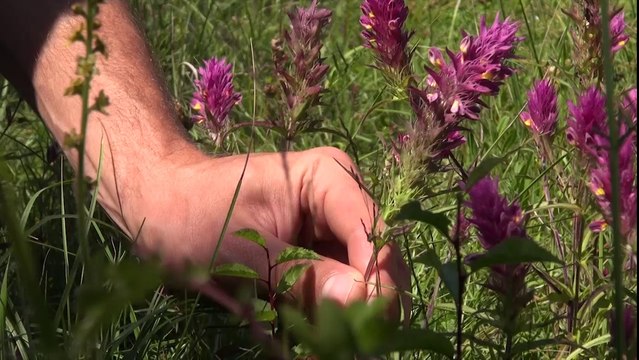 Belles Balades : les monts de Baives