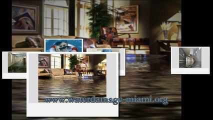 Water Damage Miami Service | Company for Home Removal & Repair