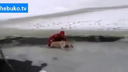 Donmuş gölde mahsur kalan köpeğin kurtarılışı. Gözleriniz yaşarabilir...