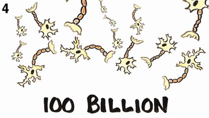 7 Myths About The Brain You Thought Were True