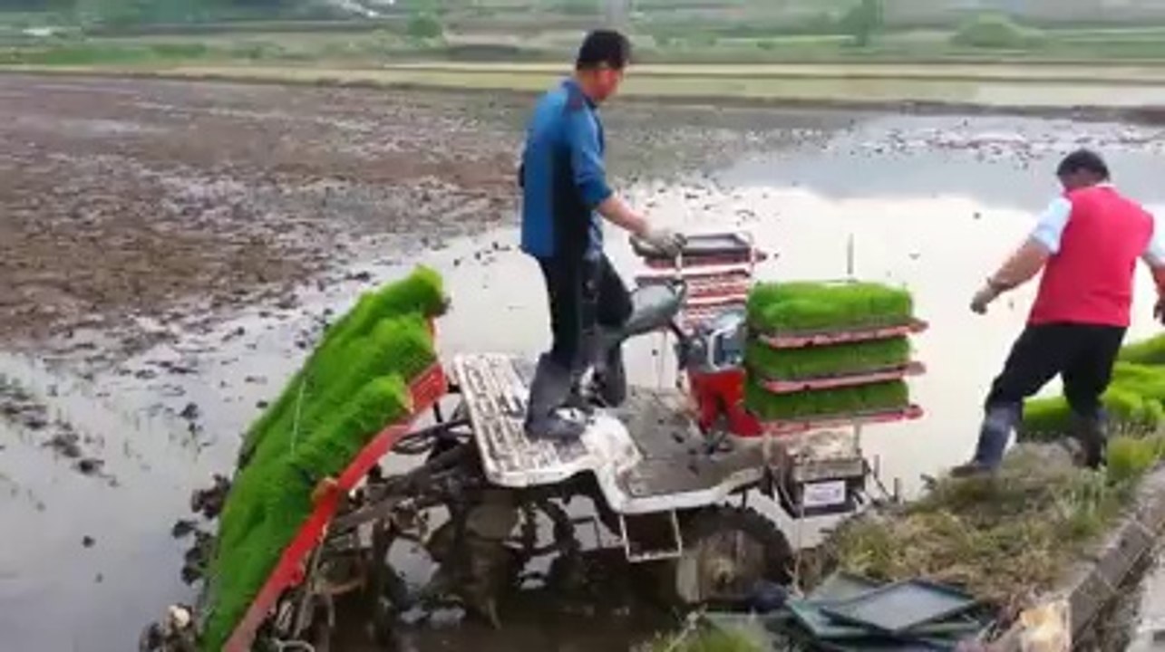 talent technology