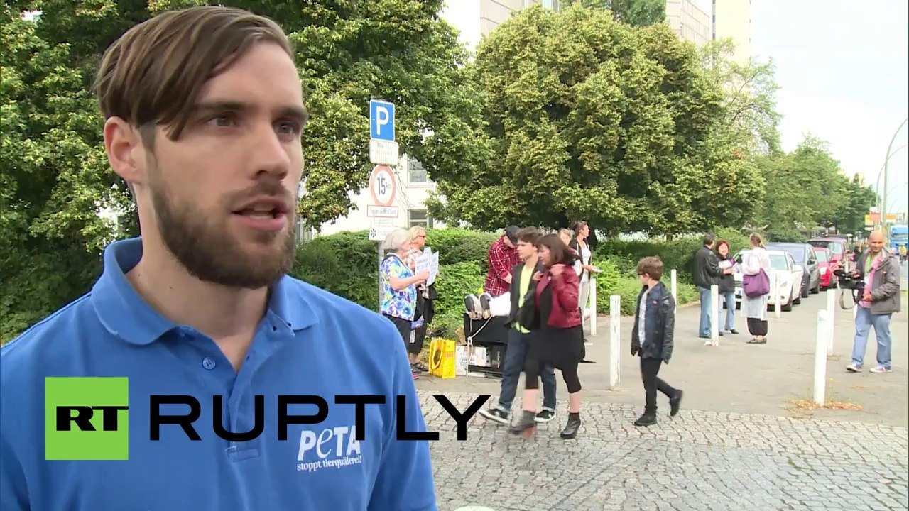 Germany: PETA gives Berlin fashion week one bad hare day