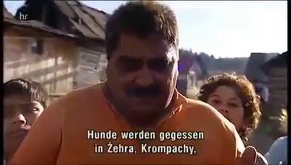 Zigeuner über das Essen von Hunden