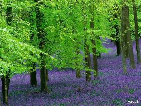 İZZET YILDIZHAN-AY BULUTA GIRMIŞ