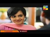 Shab-E-Zindagi - Last  Episode - 24 Full - HUM TV Drama -  8 July  2014