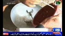 Sindh Govt bans Black scorpion business in Tharparkar Sindh - Rs 20 Lac scorpion is being sold in Rs. 50,000