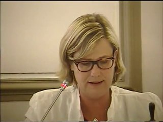 Conseil Municipal du 7 juillet 2014 partie 2