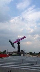 Delusion - Pegasus 16 - Technical Park