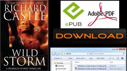 [FREE eBook] Wild Storm: A Derrick Storm Thriller by Richard Castle