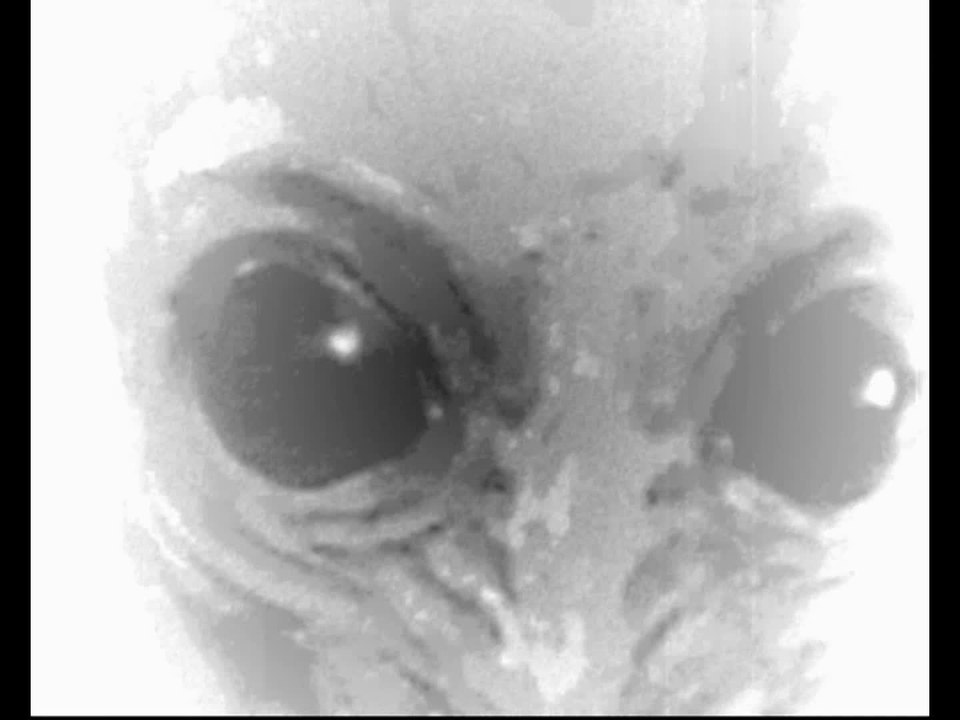 aliens found doc mix