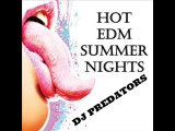 Hot EDM Summer Nights - DJ PREDATORS