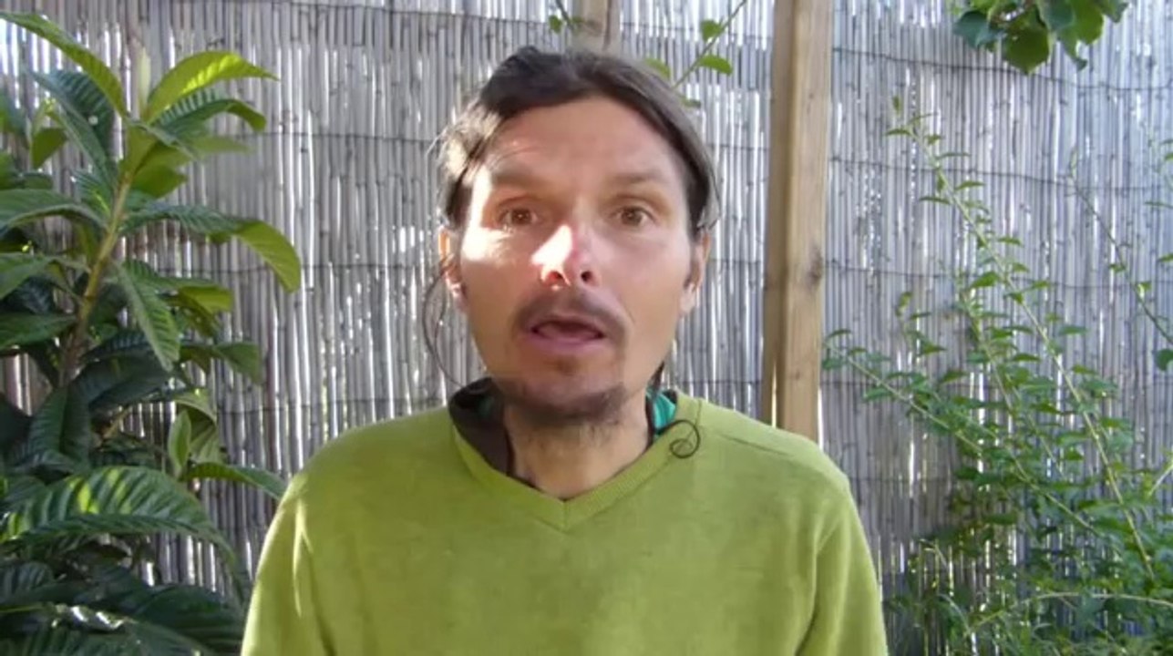 bienêtreaujus Diabète 2_2 Les troubles de métabolisme du sucre et autres diabètes de simples désiquilibres nerveux