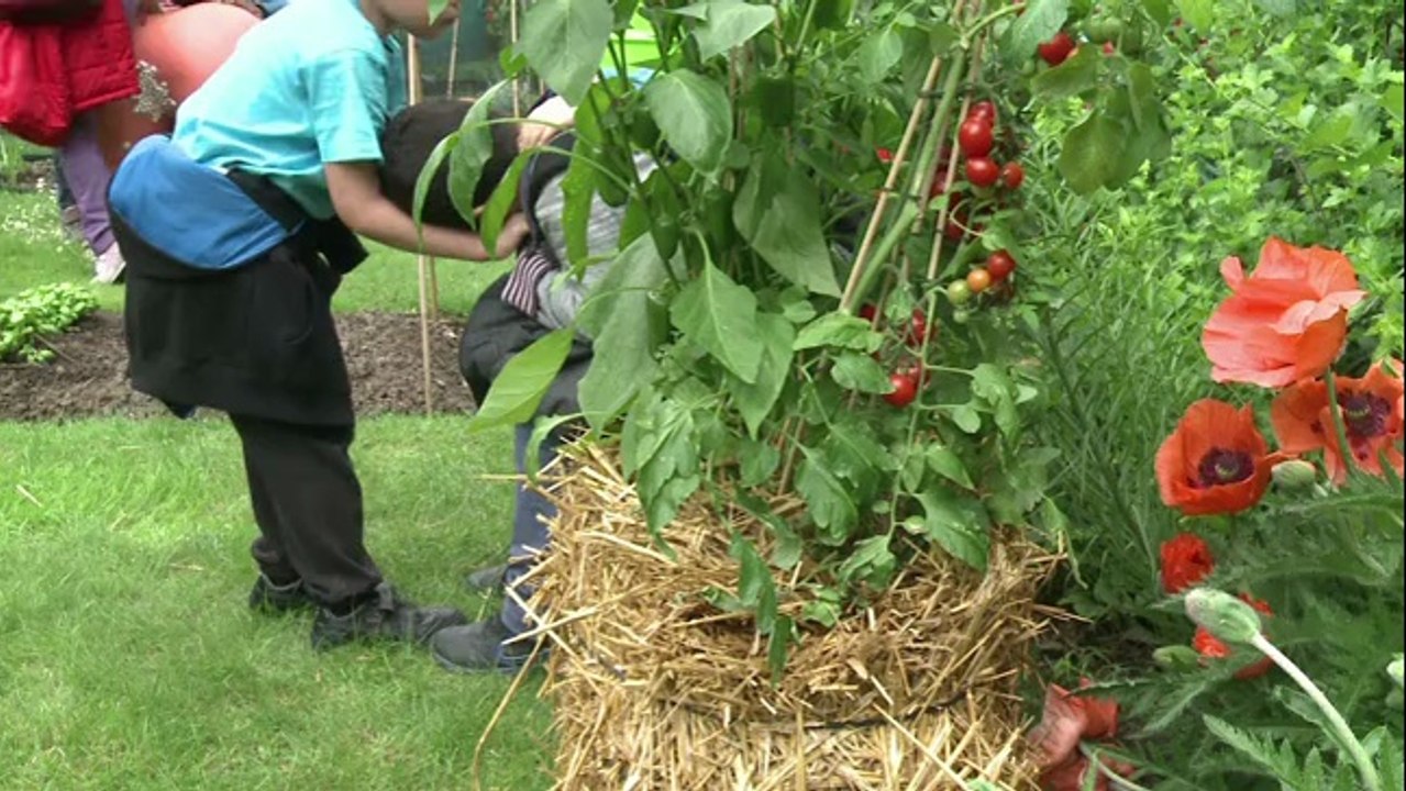 Ce week-end, c'est le 12ème "Rendez-vous aux jardins"
