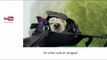Zapping insolite - Un chien vole en wingsuit