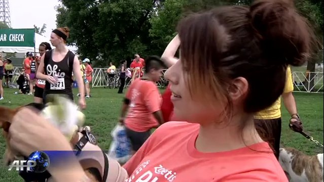 Insolite: des centaines de chiens déguisés, mais pas de record