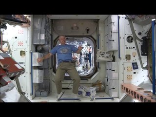 Astronauts Prove Soccer Is A Better Game When Played In Space