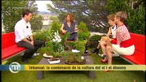 TV3 - Els Matins - Noves generacions de plantes