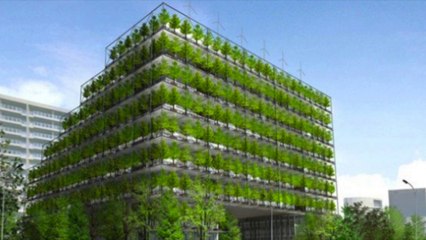 Halden Zimmermann - Interesting Green Architecture Ideas