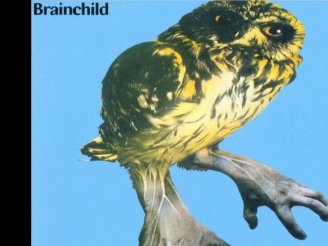 Brainchild Hiding From The Dawn 1970 UK Prog Rock Jazz Fusion