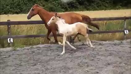 ENIGME MAISON NEUVE  JUIN 2014